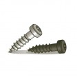 B-FIX 200 VIS SHORT 19 MM INOX