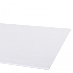 PLATRE 10 mm 60 x 260 cm